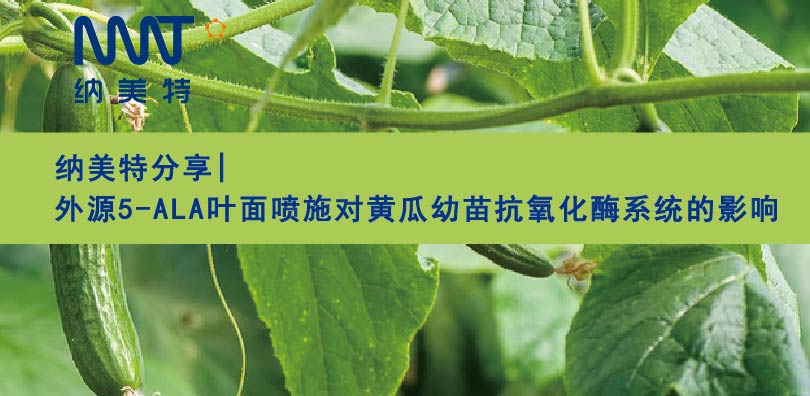 【微信公众号文案图片模板】-纳美特---黄瓜-35.jpg