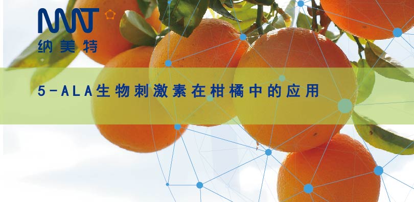 【柑橘】【微信公众号文案图片模板】-纳美特-39.jpg