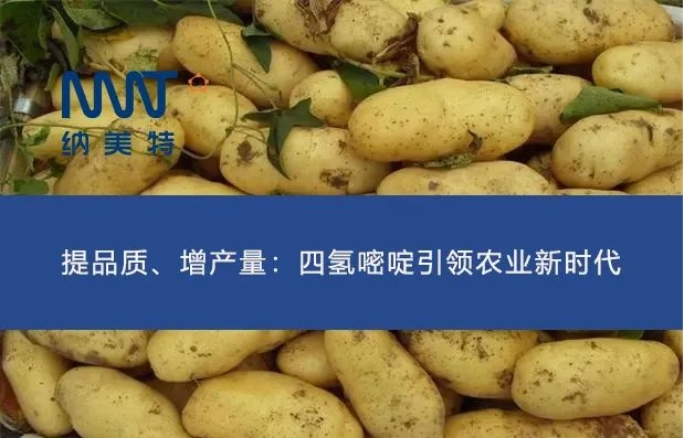微信截图_20240318155024.jpg