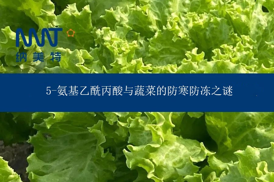 微信截图_20240318155708.jpg
