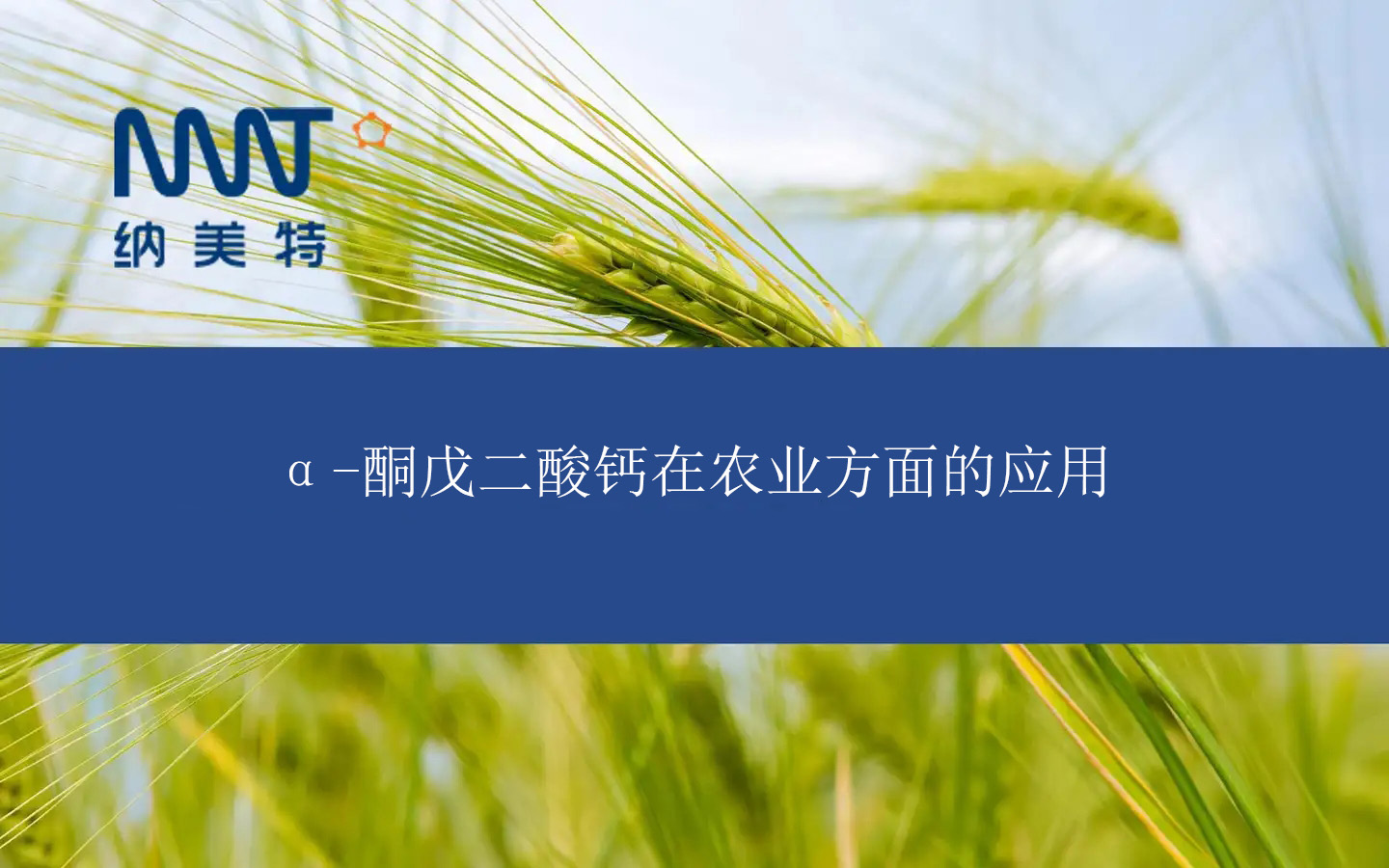 α-酮戊二酸钙1.jpg