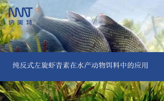 纯反式左旋虾青素1.jpg