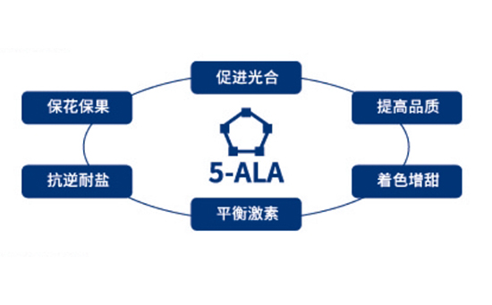 5-ALA.jpg
