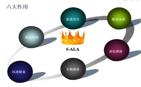 5-ALA农业上的四大影响与六大作用.jpg