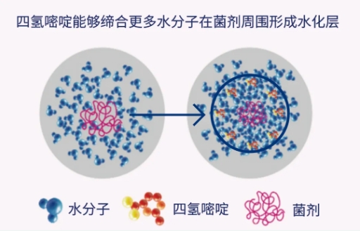 四氢嘧啶Plus