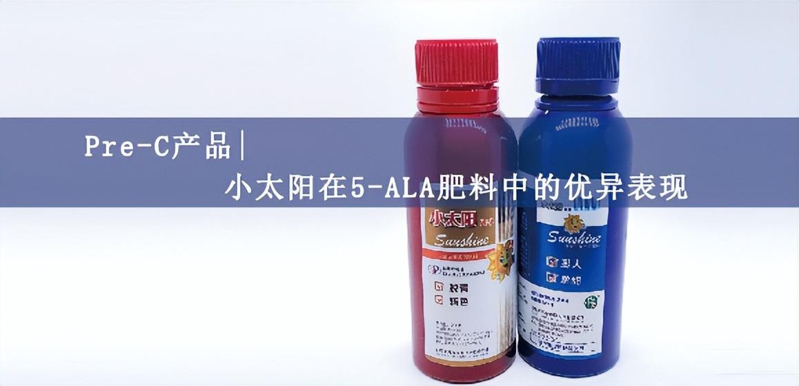 Pre-C产品|小太阳在5-ALA肥料中的优异表现