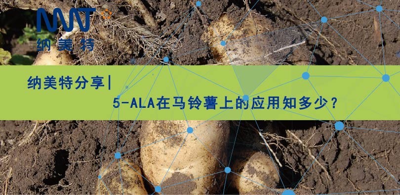 纳美特分享|5-ALA在马铃薯上的应用知多少？