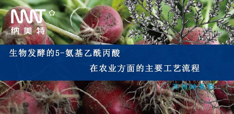 生物发酵的5-氨基乙酰丙酸在农业方面的主要工艺流程