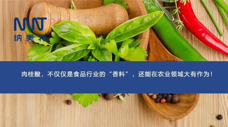 肉桂酸，不仅仅是食品行业的“香料”，还能在农业领域大有作为！