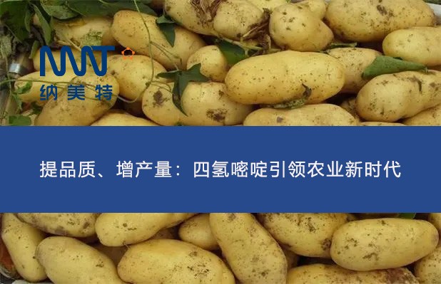 提品质、增产量：四氢嘧啶引领农业新时代