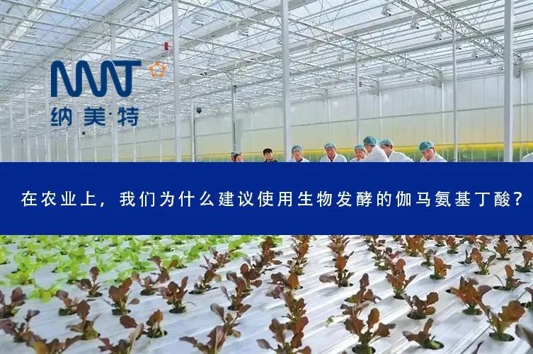 生物发酵的伽马氨基丁酸在农业上使用建议