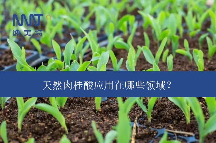 天然肉桂酸应用在哪些领域?