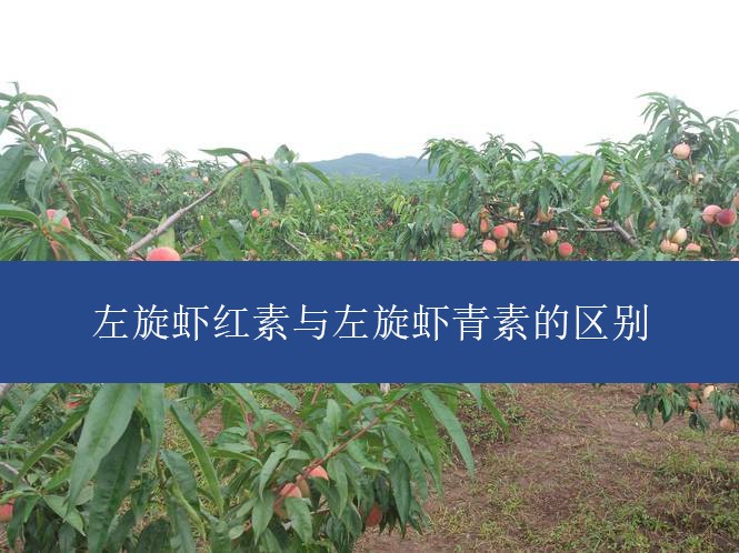 左旋虾红素与左旋虾青素的区别