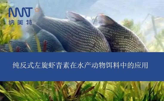 纯反式左旋虾青素在水产动物饵料中的应用