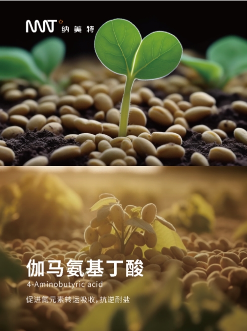 农业领域利用 GABA 促进果实成熟与保鲜的方法探索
